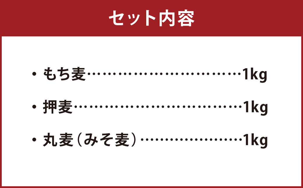 もち麦・押麦・丸麦(みそ麦) セット 各1kg×3個 ( 合計3kg )