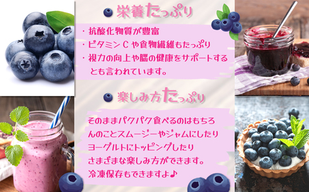 【千葉県香取市産】無農薬 生ブルーベリー1kg 夏季限定 KTRCQ001