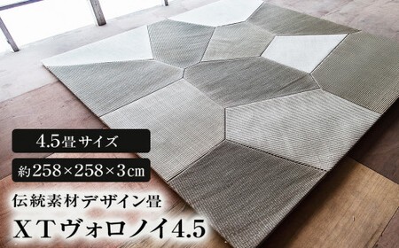 デザイン畳 伝統素材 ＸＴヴォロノイ4.5