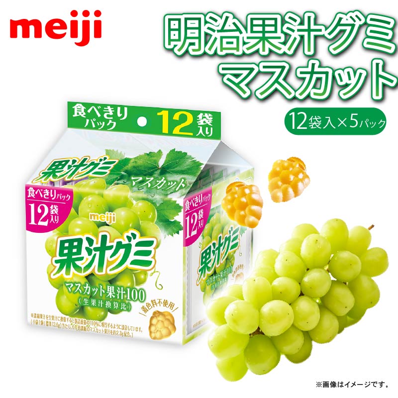 【ふるさと納税】 明治 果汁グミスマートパック マスカット 163g × 5個 グミ お菓子 おやつ フルーツ 果物 果汁 詰め合わせ 詰合せ セット まとめ買い 静岡県 藤枝市