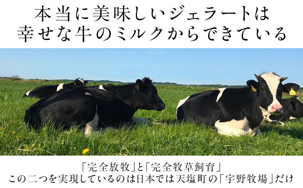 【定期便5ヵ月】幸せな牛のミルクからできたジェラート パティシエおすすめ6個セット ＜（株）SAKURA STYLE＞