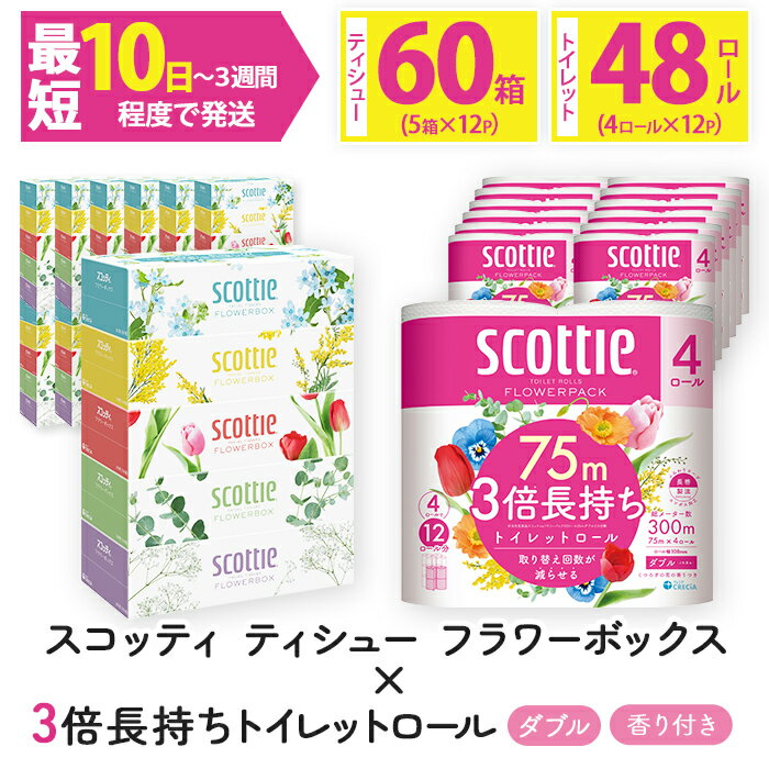 【ふるさと納税】＜ボックスティッシュ＆トイレットロールセット＞スコッティ ティシュー フラワーボックス 250組 60箱＆スコッティ フラワーパック 3倍長持ち ダブル 48ロール (ティッシュ5箱×12・トイレットロール4ロール×12)【fc-AS004-A】【日本製紙クレシア株式会社】