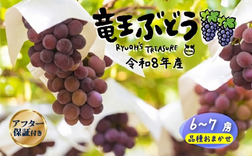 期間限定 ぶどう 6～7房 園主 おすすめ 詰め合わせ 葡萄 ブドウ マスカット 巨峰 シャインマスカット  デラウェア アーリースチューベン ベリーA サニールージュ ピオーネ シナノスマイル 安芸クイーン 甲斐美嶺 竜宝 高墨 数量限定 品種 おまかせ 数量限定 品種 夏 秋 フルーツ ふるーつ 果実 くだもの 竜王産 滋賀県 竜王町 送料無料 ふるさと納税