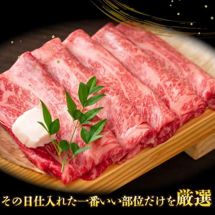 【2回定期便】訳あり！ 長崎和牛 しゃぶしゃぶ すき焼き 750g セット 長崎県 国産 牛肉 [DBS109]