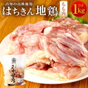 【ふるさと納税】はちきん地鶏 もも肉 1kg モモ肉 鶏肉 鳥肉 とり肉 冷凍 国産 送料無料 ag004