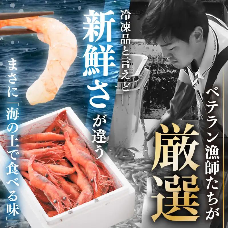 甘エビ 約1.65kg エビ 冷凍 [B-2325]