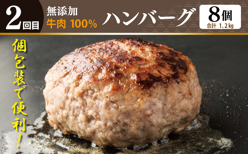 店主セレクト ハンバーグ／しらす 食べ比べ 定期便 全3回【毎月配送コース】 099Z290
