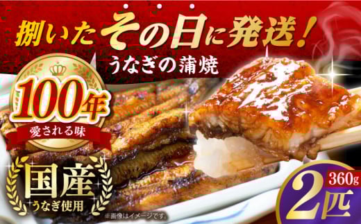 国産うなぎの蒲焼 2匹 長崎県/入口屋 [42AKAB002] ウナギ うなぎ 鰻 タレ付き 老舗 国内産 国産 土用丑の日 うな重 鰻重 グルメ 西海 長崎 入口屋 長崎県 蒲焼 かば焼き 蒲焼き