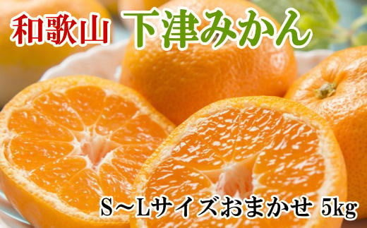 【産直・秀品】和歌山下津みかん約5kg(S～Lサイズおまかせ) 　※2024年11月中旬～1月中旬頃順次発送予定（お届け日指定不可）【tec962】