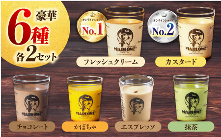  【全6回定期便】葉山ビーカープリン パーティーアソート セット 6種×2個 詰め合わせ（カスタードプリン・かぼちゃプリン・抹茶プリン・北海道フレッシュクリームプリン・エスプレッソプリン・チョコレート
