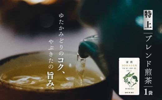 【 新茶 出荷中 】 種子島産 特上ブレンド煎茶　NFN592【125pt】