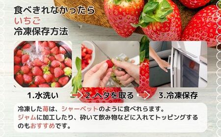 【先行予約】福岡県産あまおう 270g×6パック ※2026年4月上旬順次配送 [TY015-1] ※配送不可：北海道・沖縄・離島【福岡県須恵町】いちご イチゴ 苺 フルーツ 果物 国産 九州 送料無