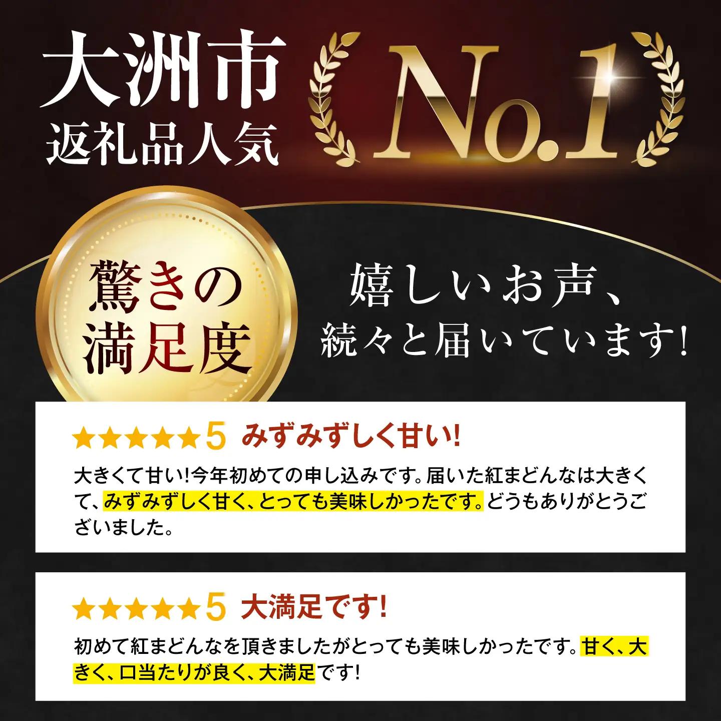 紅まどんな 家庭用 約5kg 24-30玉 [AGAO009] まどんな