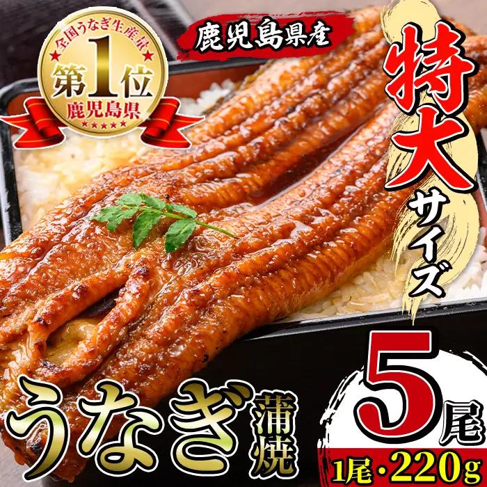 鹿児島県産 うなぎ蒲焼 特大 サイズ 5尾（約220g×5・計約1100g）【薩摩川内鰻】 i1078-C
