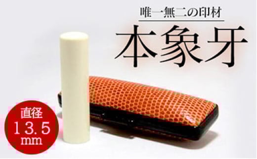 高級本象牙印鑑　13.5㎜×60.0㎜　はんこ ハンコ 実印 銀行印 認印 ケース付 オーダー 判子 ギフト プレゼント 贈答