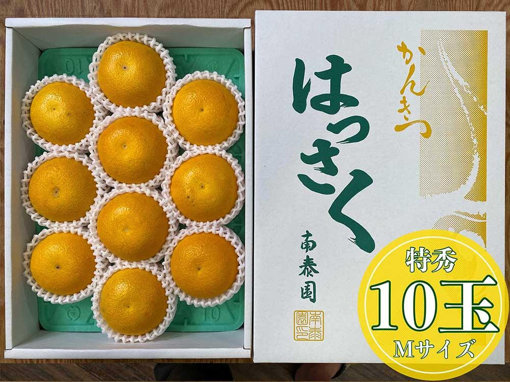 
化粧箱 手詰め 有田 はっさく 特秀 M サイズ × 10玉入 南泰園
