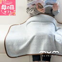 【ふるさと納税】シルク混ひざ掛け mumブランケット（ナイト） ※ 茶 新生活応援