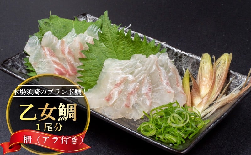 
            鯛 刺身 1匹分 ( 約900g~1kg )  アラ付き 柵 産地直送 高知県 乙女鯛 小島水産 ブランド 新鮮 冷蔵 真鯛 冷蔵  タイ 高級魚 鮮魚 魚介 海鮮 贈答 ギフト 贈り物 祝い 記念日 中元 歳暮 KS037
          