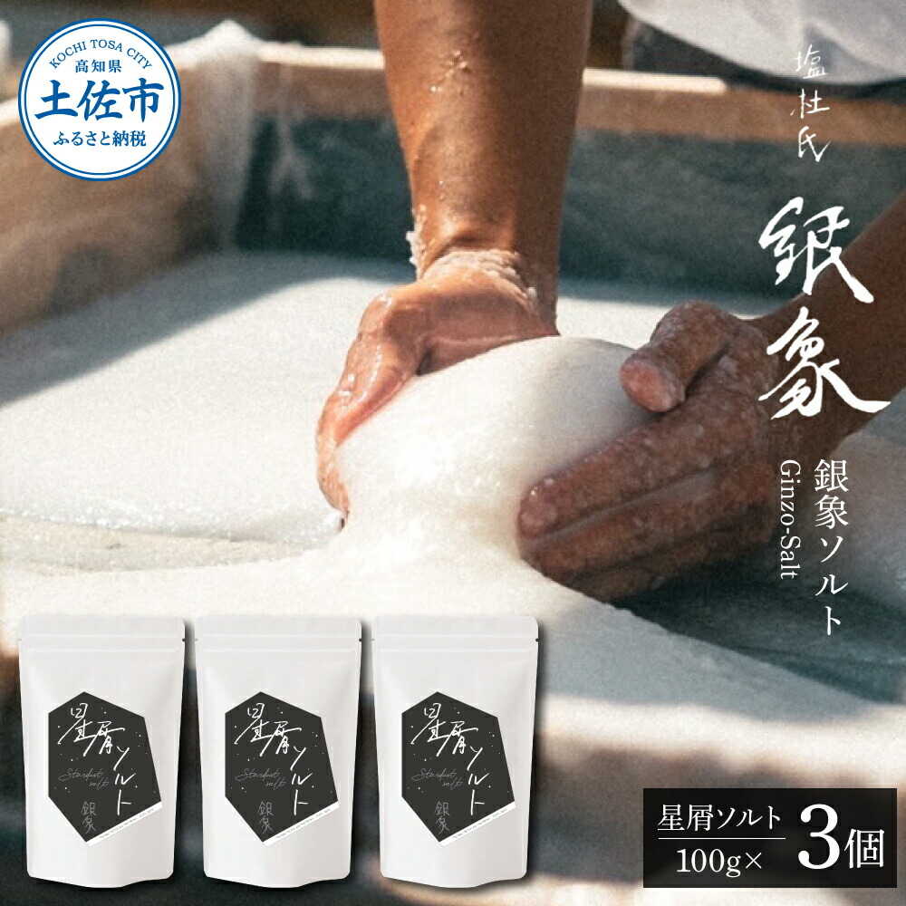 【ふるさと納税】銀象ソルト Ginzo-Salt 星屑ソルト 100g×3個セット 合計300g 塩 しお 調味料 天日塩 完全天日塩 国産 高知県産 ソルト ミネラル 健康 料理 調理 お塩 塩【塩杜氏銀象】
