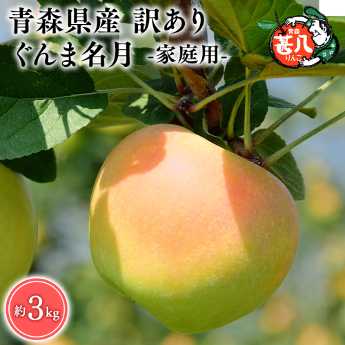 １１月発送　訳あり　家庭用　甚八りんごぐんま名月３kg　【マルジンサンアップル　11月　青森県産　平川市　りんご　ぐんま名月　3kg　訳あり　家庭用】