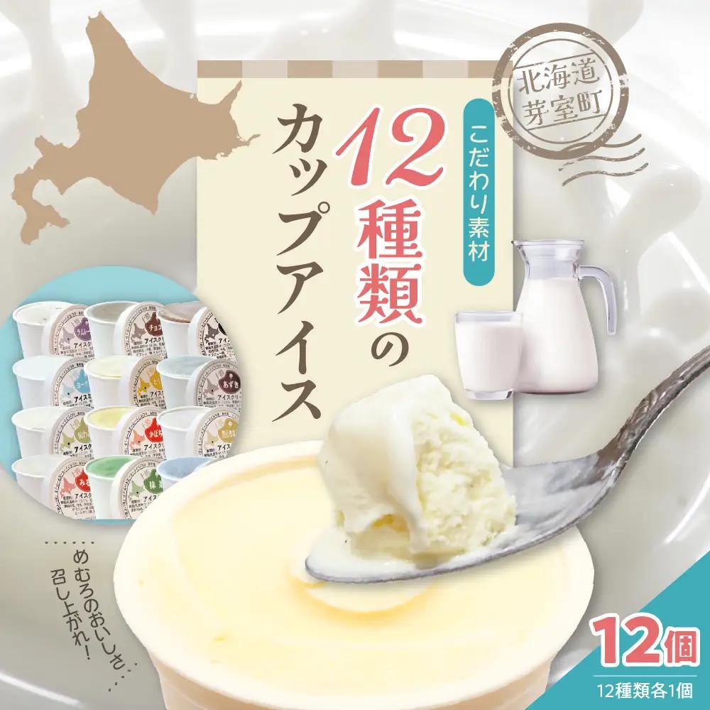 カップ アイスクリーム 95ml × 12 種セット アイス 北海道 