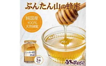 爽やかな香り広がる ぶんたん山の蜂蜜 360g×3本セット 高知県土佐市 【株式会社SHIRAKI】 [BQAI055]
