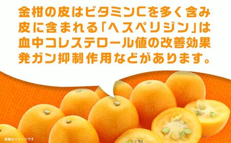 内山金柑園のまるかじり氷結きんかん7パック≪みやこんじょ特急便≫_AO-J703-Q_(都城市) 内山金柑園 完熟きんかん 氷結きんかん 急速冷凍 糖度16％以上 シャーベット 10粒