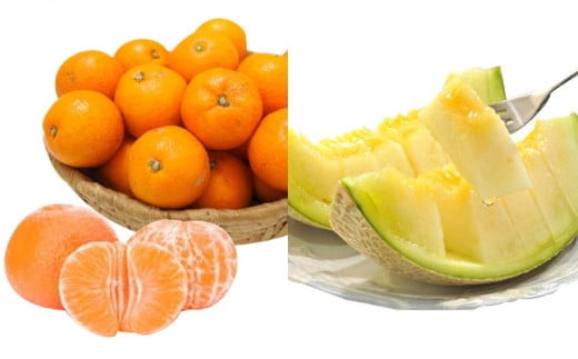 熊本市産アールスメロンと熊本市産青島みかんセット 【2025年12月上旬～2026年1月下旬迄発送予定】 メロン アールスメロン みかん 蜜柑 果物 フルーツ セット 熊本市産