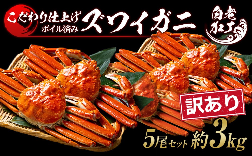訳あり ズワイガニ 姿 ボイル済み 冷凍 5尾セット 約3kg  BM337