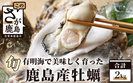 鹿島産 牡蠣 約2kg(殻付き)【加熱調理用】品種(スミノエ) 期間限定 牡蠣 かき カキ 牡蠣焼き かき焼き カキ焼き 有明海 オイスター 佐賀 B-559
