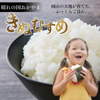 ふるさと納税 岡山市 岡山市産 きぬむすめ 5キロ 令和8年産 |  | 01
