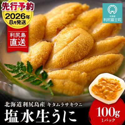 ふるさと納税 利尻富士町 【2026年8月発送】キタムラサキウニ 100g (100g×1パック) <利尻漁業協同組合>
