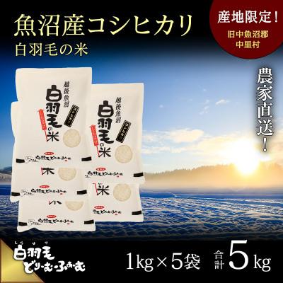 ふるさと納税 十日町市 令和7年産　農家直送!魚沼産コシヒカリ「白羽毛の米」精米(1kg×5袋)5kg