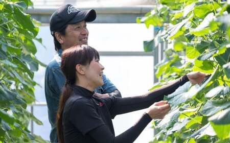 【先行予約】 【甘みがジュワ～っ！】瀬戸内のフルーツトマト 2kg 糖度8度以上 【 2027年4月中旬発送開始 】 大崎上島 越田農園