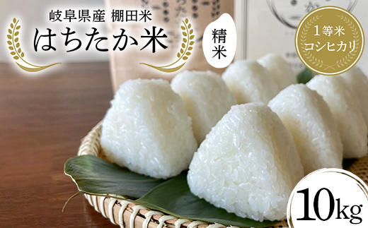 岐阜県産 棚田米 1等米コシヒカリ はちたか米 精米10kg（5kg×2袋） F4N-2587