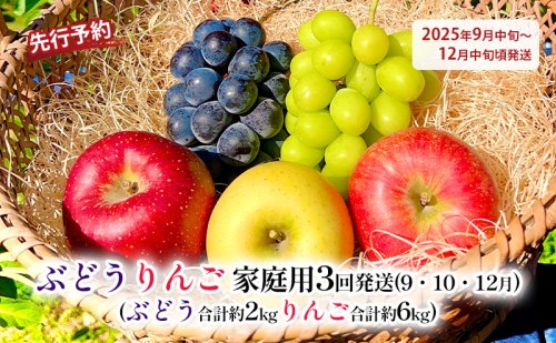 ぶどうりんご家庭用3回発送（9・10・12月）（ぶどう合計約2kgりんご合計約6kg）2025年発送 果物 フルーツ デザート 食後 長野県産 新鮮 香りがいい 完熟りんご 信州 長野のりんご 信州産