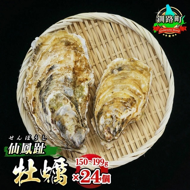 ＼先行予約／北海道 仙鳳趾名産 牡蠣 150g～199g×24コ+かきナイフ付き かき漁師直送 K3-4＜出荷時期：2025年7月1日ごろ～順次出荷＞＜センポウシ : 釧路町の東 厚岸湾の西 カキの名産地＞ | せんぽうし 牡蠣 生食用 殻付き br02
