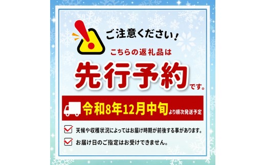 【特選生産者】南信州産 市田柿 1kg（200g×5）【大粒】 | マルス信濃物産 ★12/15までのお申し込みで 年内発送 ★ 果物 くだもの フルーツ 柿 かき 市田柿 長野県 信州 南信州 飯田
