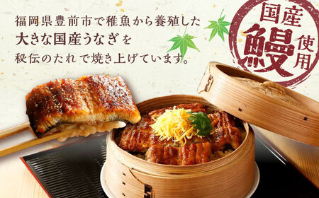 【全12回定期便】福岡県産 うなぎ 蒲焼 大3尾 合計 480 g（1尾あたり 160g以上）《豊前市》【福岡養鰻】 国産 うなぎ 大[VAD016] うなぎ 鰻 鰻の蒲焼 ギフト鰻 国産鰻 うなぎ 