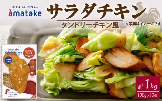 サラダチキン タンドリーチキン風 100g×10個 【1回】