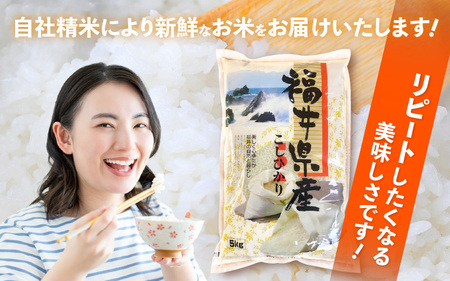 【新米】令和7年産 米 定期便3ヶ月コシヒカリ精米 5kg × 3回（計15kg）福井県産【白米 5キロ 15キロ こしひかり お米 ごはん 人気品種 産地直送 新生活 kome】 [e66-d002