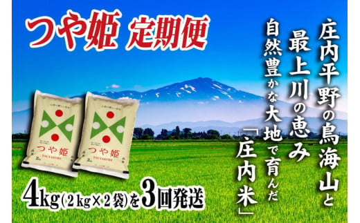 
            SE0340　【3回定期便】令和6年産 つや姫　4kg×3回(計12kg) SI
          