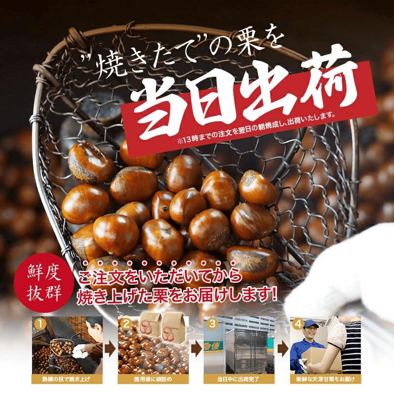 甘栗 天津甘栗 新栗 2.5kg 期間限定 殻付き 栗 徳用 無添加 保存料不使用 クリ 焼き栗 栗爪 焼栗 常温 お取り寄せ 無着色 洋菓子 和菓子 おつまみ おやつ 栗きんとん 栗ごはん ご飯 甘