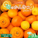 【ふるさと納税】旬の柑橘 詰め合わせ 約5kg / 約10kg内容量が選べる みかん ミカン 詰め合わせ 柑橘 果物 フルーツ お取り寄せ ジューシー 甘い ポンカン 不知火 しらぬい オレンジ 甘夏 八朔 はっさく レモン 檸檬 冬 爽やか 広島県 呉市