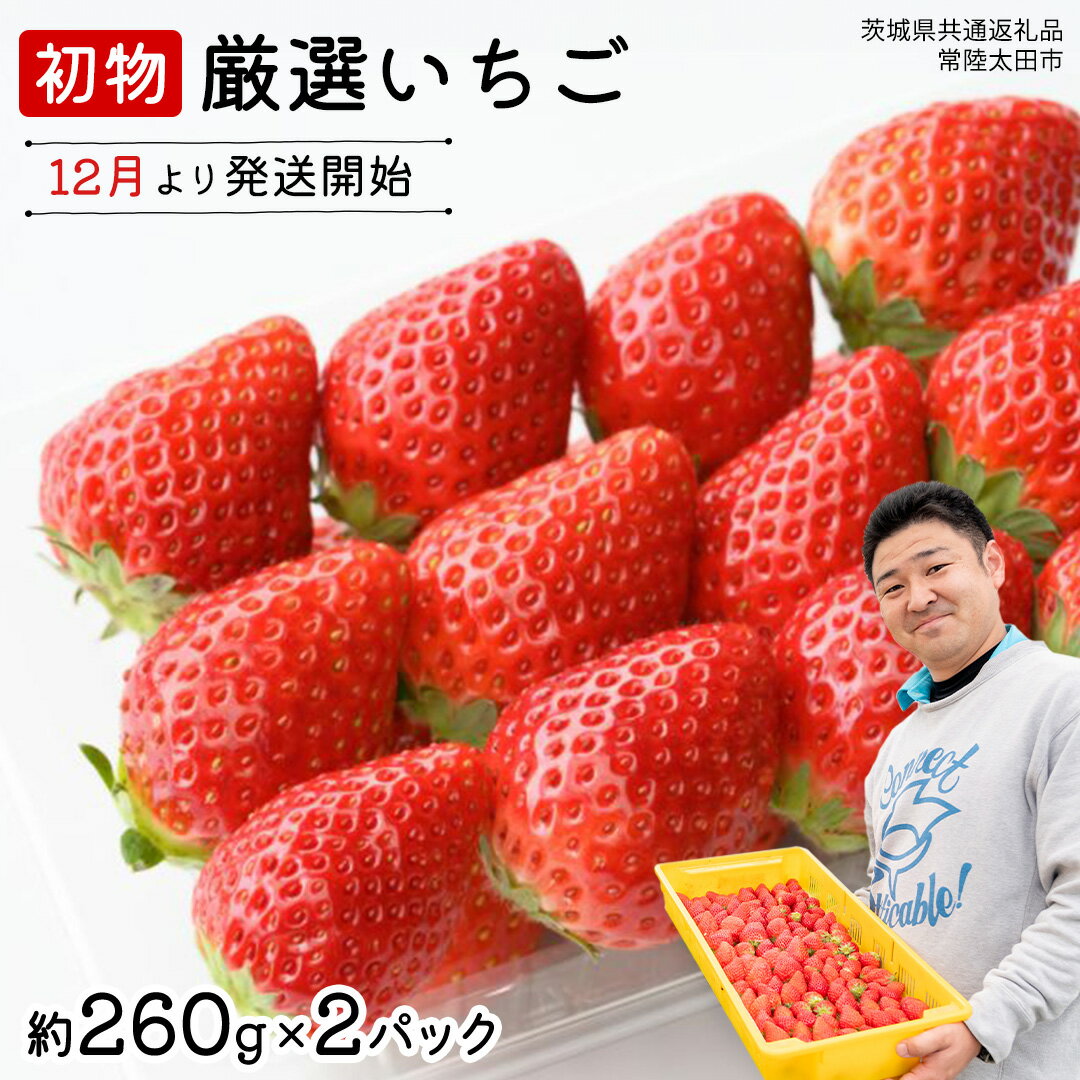 【ふるさと納税】【 先行予約 】 初物 厳選いちご ( 2パック ×1箱 )【12月発送】( 茨城県共通返礼品 : 常陸太田市 ) いちご 数量限定 果物 くだもの フルーツ 苺 イチゴ ストロベリー 旬 厳選 いばらキッス ひたち姫 やよいひめ