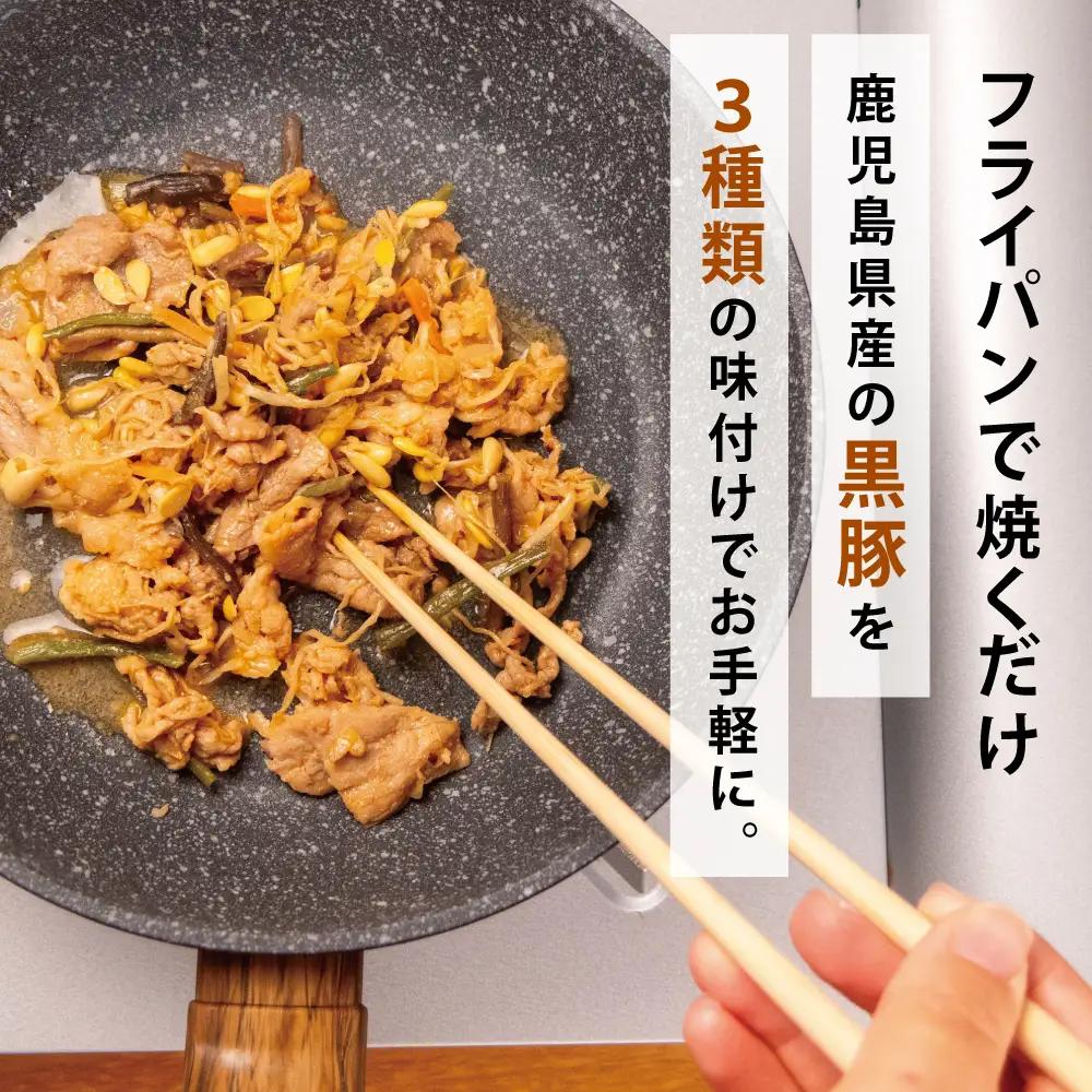 【鹿児島県産】味付け黒豚セット 3種類 計1kg（ネギ塩、生姜焼き、ビビンバ） 焼肉 総菜 おかず 簡単調理 お弁当 味付き ネギ塩 生姜焼き ビビンバ 小分け 冷凍 国産 黒豚 ロース  コワダヤ 