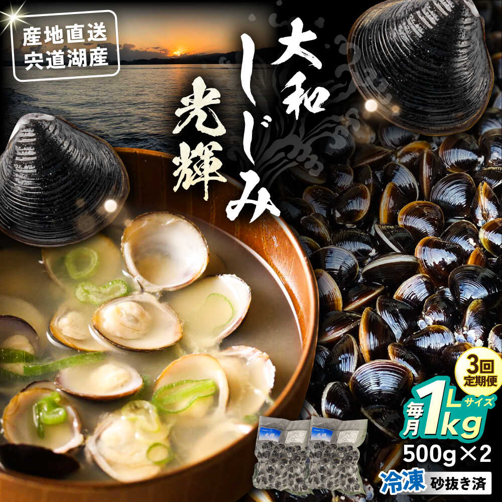 【ふるさと納税】【全3回定期便】産地直送！宍道湖産 冷凍大和しじみLサイズ1kg(500g×2) 砂抜き処理済 島根県松江市/りすたむmatsue[ALDE022]