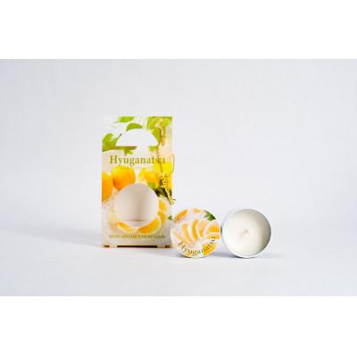 ふるさと納税 宮崎市 旅するアロマキャンドル【宮崎】15個SET |  | 03