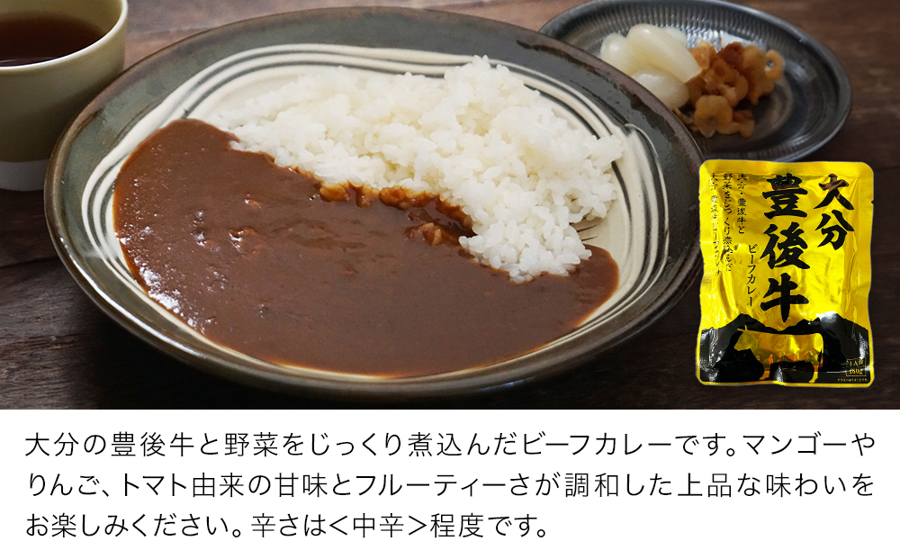 大分豊後牛ビーフカレー 10袋セット レトルト カレー ビーフ レトルト食品 和牛カレー お惣菜 大分県産 九州産 津久見市 国産 熨斗対応可