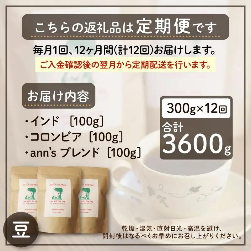 コーヒー豆 【定期便12か月】ann's cafe 100g×3種 コーヒー豆